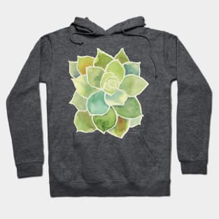 ECHEVERIA SUCCULENT - Watercolor Painting in Greens, Blues, and Rust - Hens & Chicks Plants Hoodie